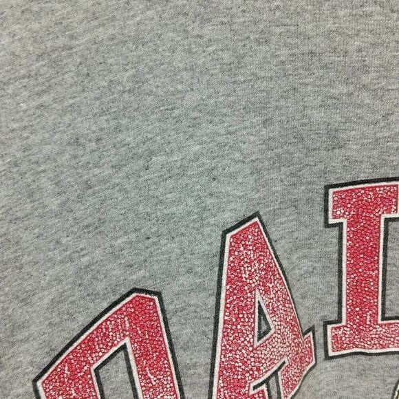 Vintage Dale Jr Budweiser Long-sleeved XXL Grey - Picture 5 of 13